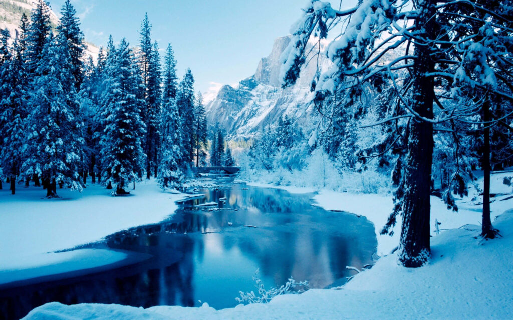Serene Winter Wonderland: Snowy Trees & Tranquil River Wallpaper