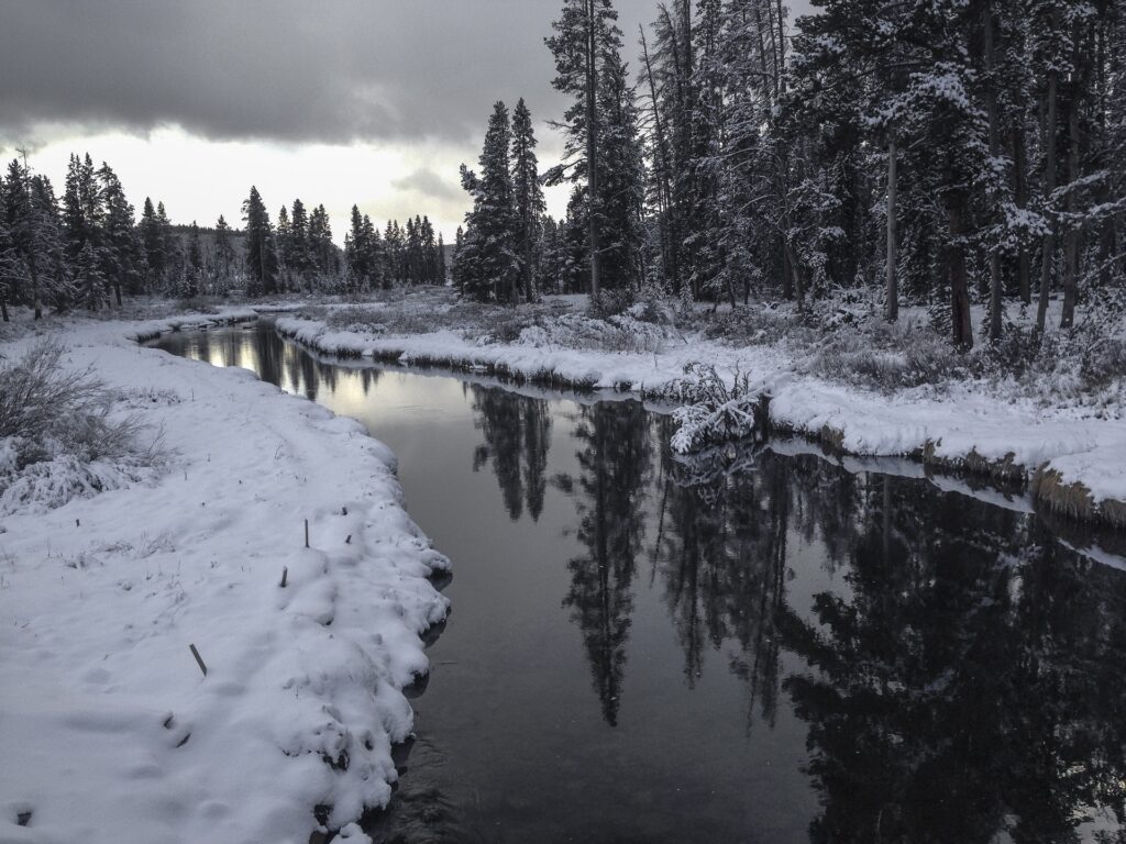 Winter riverside with snow and evergreen reflections in Yellowstone National Park Wyoming Wallpaper