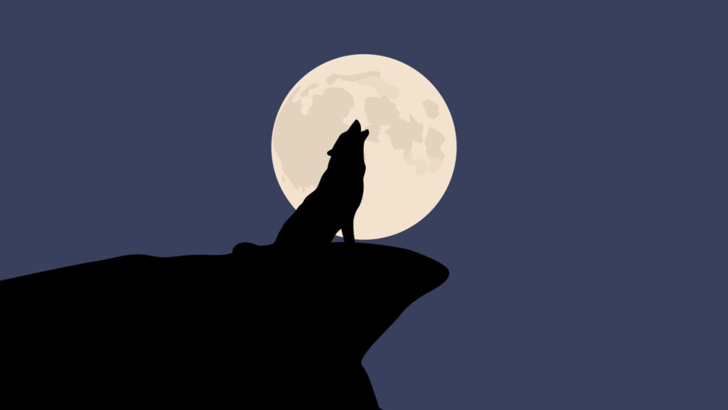 Silhouetted Wolf Howling on Cliff with Glowing Full Moon Background Wallpaper