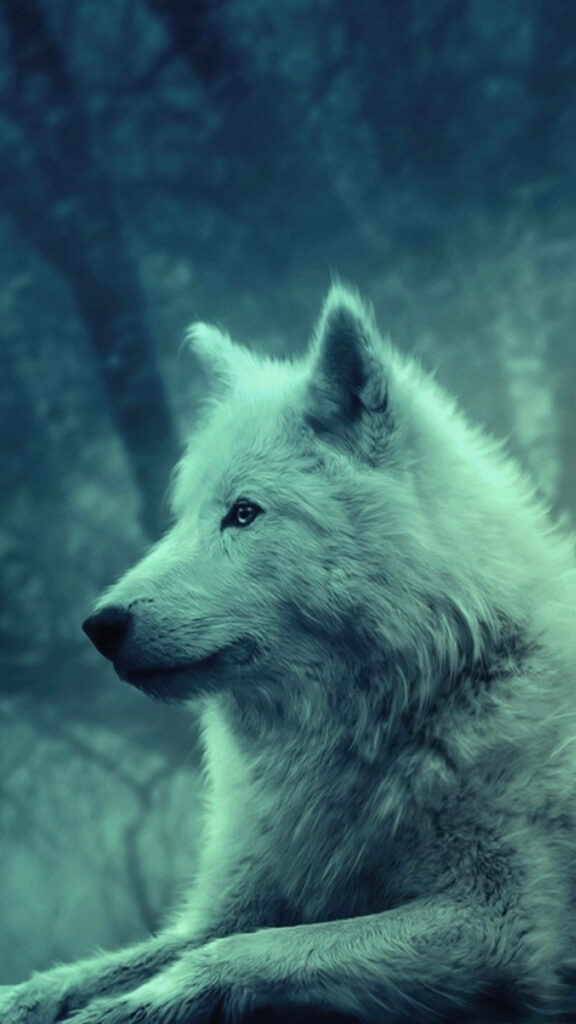 Cute Wolf Portrait in Tranquil Forest with Bluish Filter Wallpaper