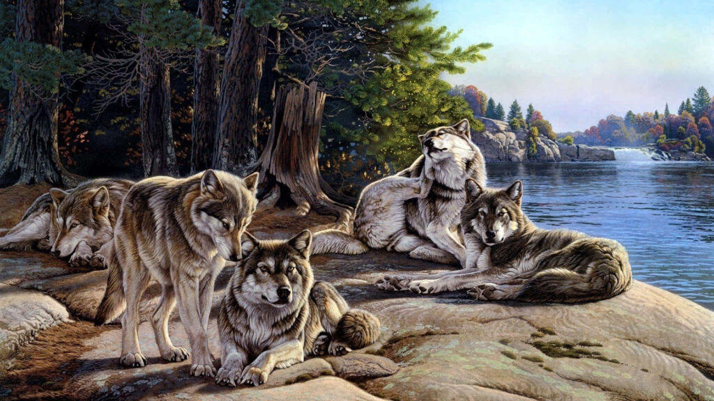 Peaceful Wolf Wallpaper: Cute Wolves in a Lush Woodland Setting