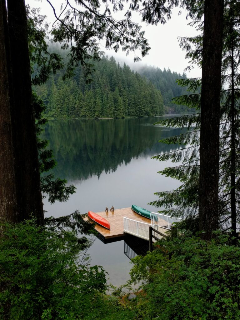 Wooden pier on calm lake reflecting lush forest and misty treetops serene nature wallpaper background