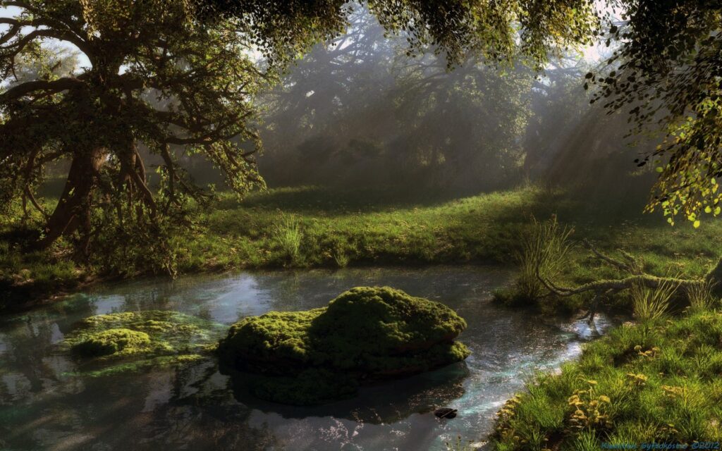 Serene woodland pond with lush green trees and sunlight reflecting on tranquil water wallpaper background