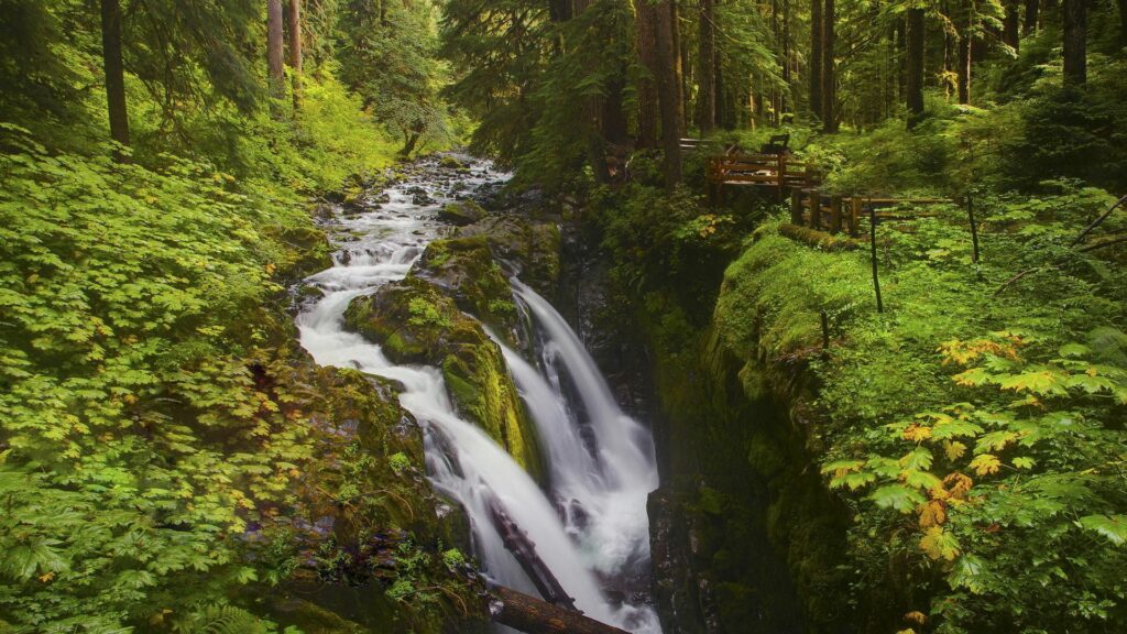 Serene woodland waterfall flowing into clear stream with lush moss and rustic wooden railing Wallpaper
