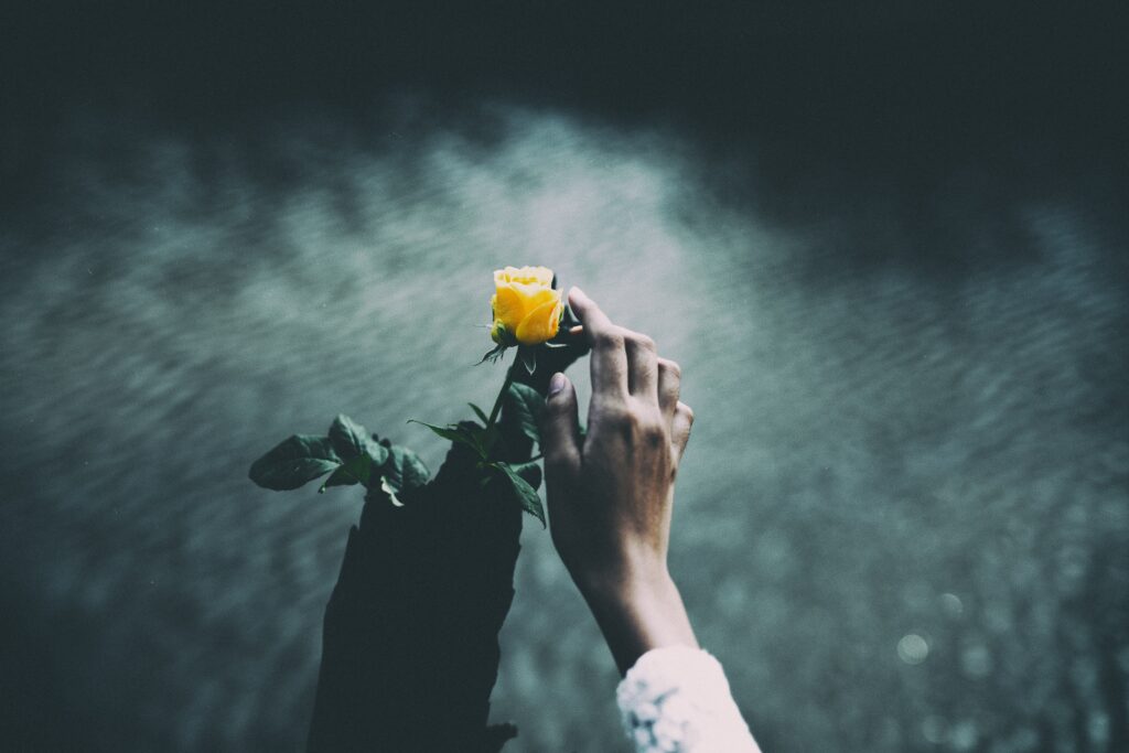 Delicate Hand Cradles Vibrant Yellow Rose Against Serene Watery Background Wallpaper