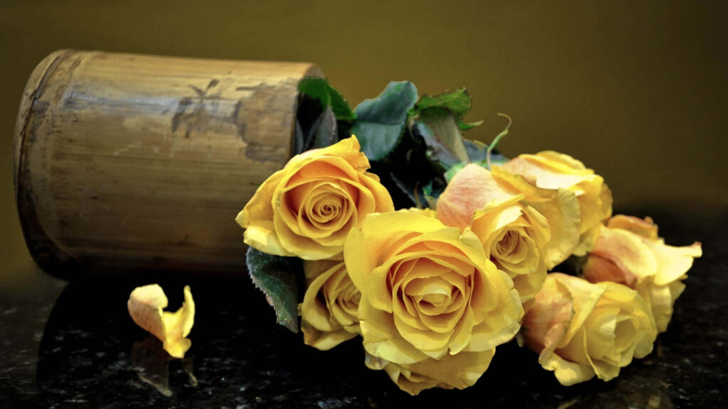 Elegant Yellow Roses Wallpaper: Serene Floral Background Design