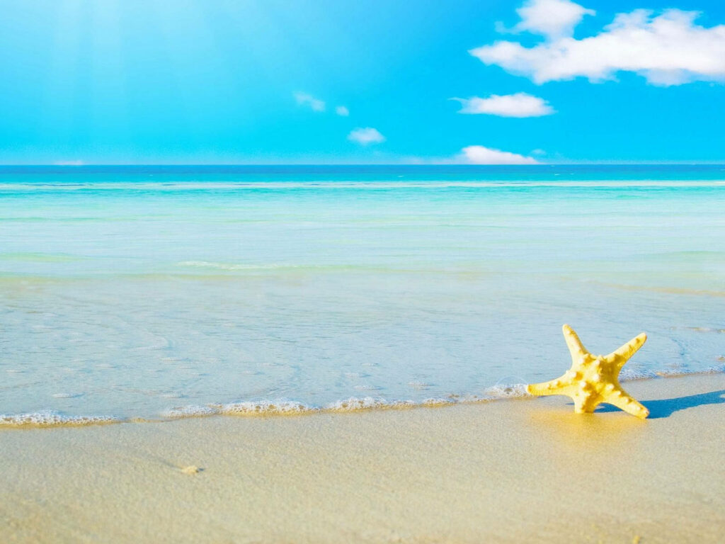 Serene Yellow Starfish on Sandy Beach - Turquoise Waters Wallpaper