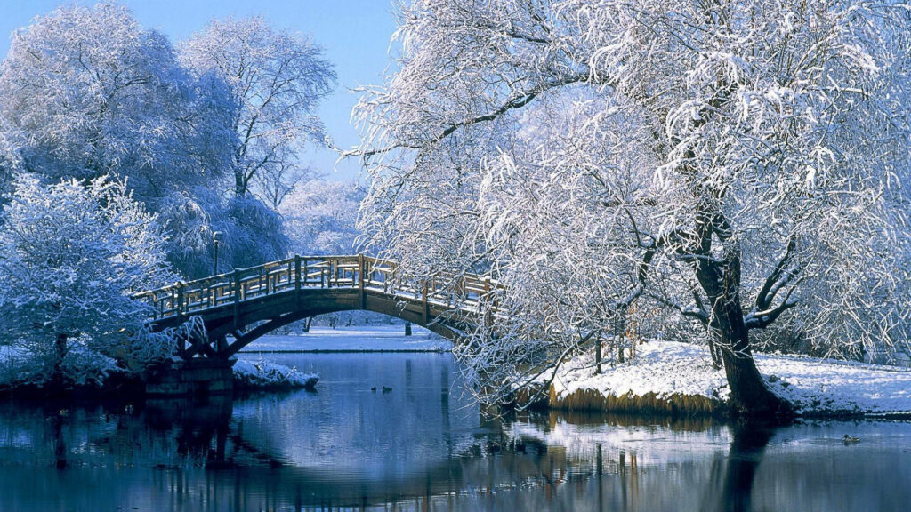 Serene Bridge Over Snowy Trees Reflected in Tranquil Waters - HD Nature Background Wallpaper