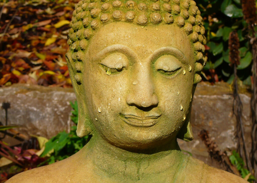 Buddha's Serene Contemplation Amidst Lush Greenery - HD Background Capture Wallpaper