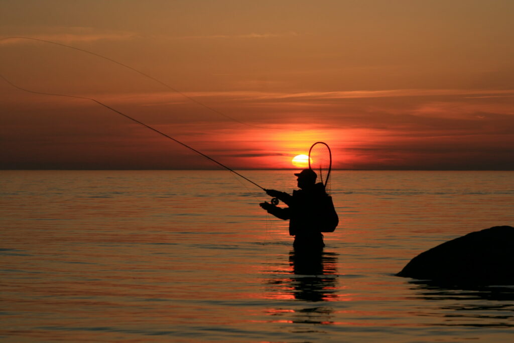 Twilight's Bounty: Serene Angler Embarks on Sea Trout Quest at Sunset Wallpaper