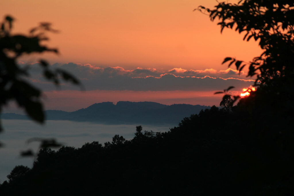 Breathtaking Sunrise Delights: A Serene Nature Setting Embraced by Tree Branches Wallpaper