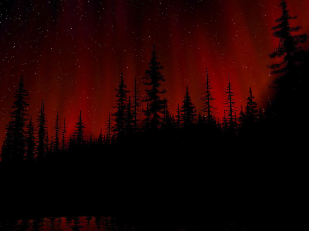 Enigmatic Shadows: Dark Forest Silhouette Amidst Fiery Crimson Sky - Mesmerizing Black and Red Background Wallpaper
