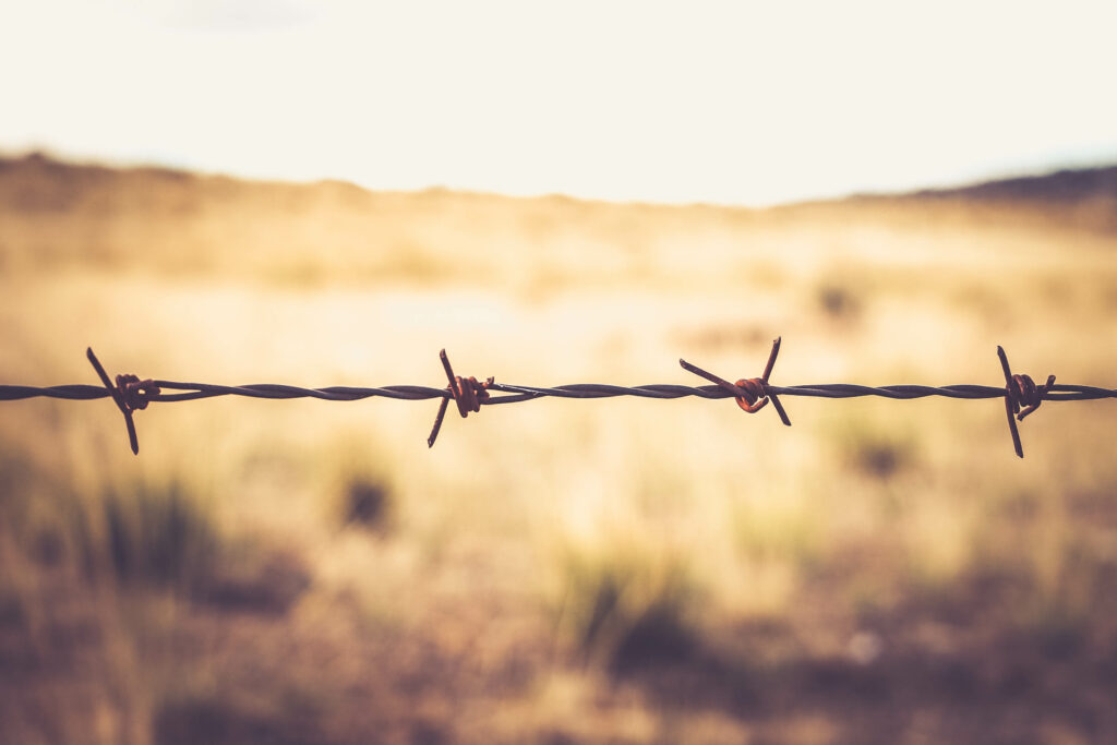Rustic Barbed Wire Fence Close-Up: Sharp Spikes in Nature Wallpaper