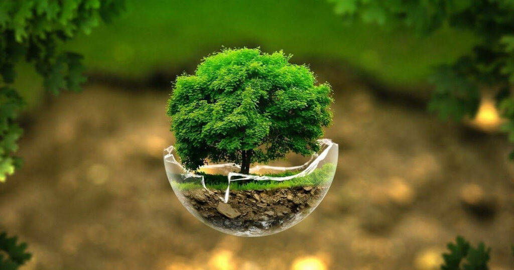 Shattering Boundaries: Revealing Nature's Hidden Sanctuary in a Glass Bubble - Full HD Wallpaper for Your Desktop Screen