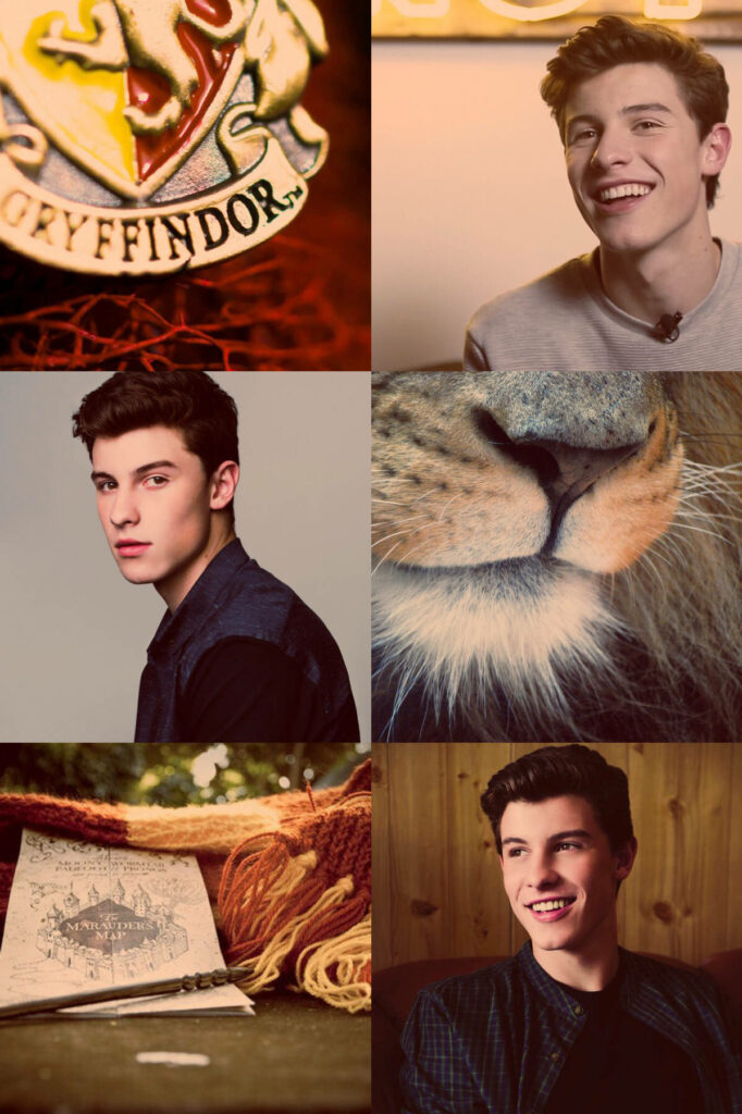 Shawn Mendes collage wallpaper with Gryffindor crest lion Marauders Map Hogwarts magic background