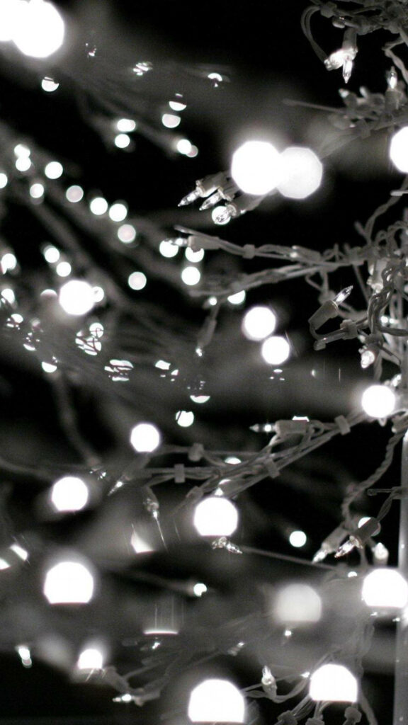 Enchanting Close-Up of Shimmering White Christmas Lights Wallpaper