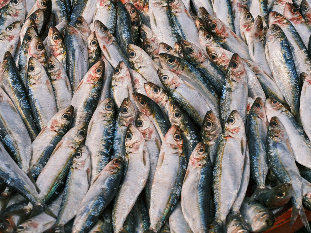 Stunning Dried Herrings Close-Up: Shiny Scales & Patterns Wallpaper