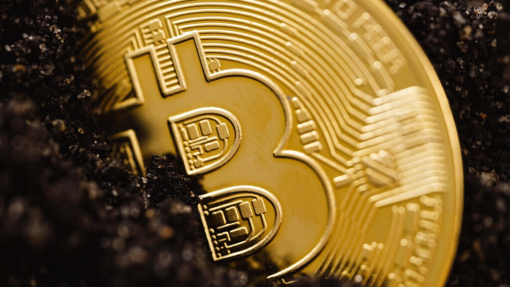 Close up gold Bitcoin emerging from dark soil symbolizing cryptocurrency growth and future potential Wallpaper