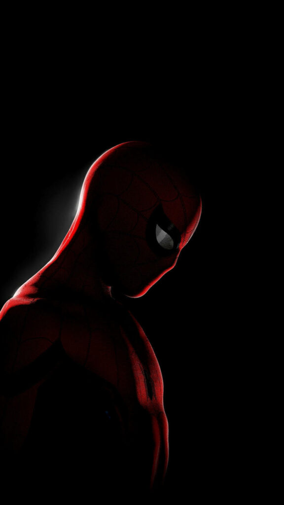 Shrouded in Shadows: Mysterious Spider-Man - A Marvel Superhero Wallpaper for Your Phone Backdrop
