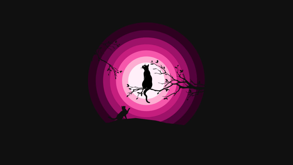 Silhouette Cat Wallpaper: Pink Circular Design on Black Background