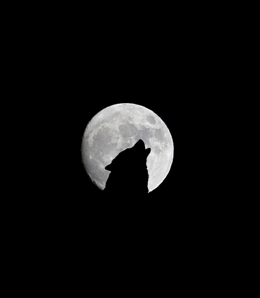 Striking Wolf Silhouette Wallpaper Against Full Moon Background