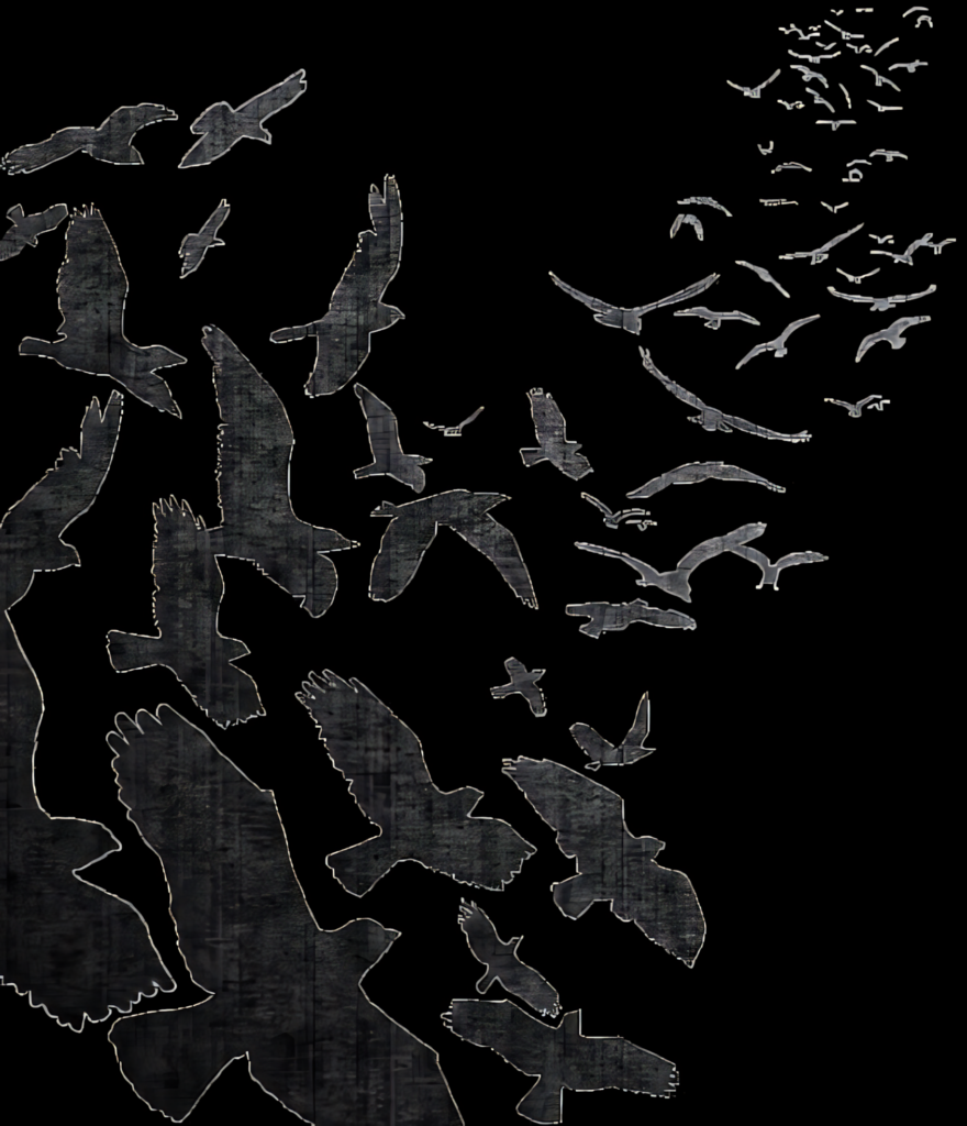 Silhouetted Birds Flying: Minimalist Transparent PNG Wallpaper