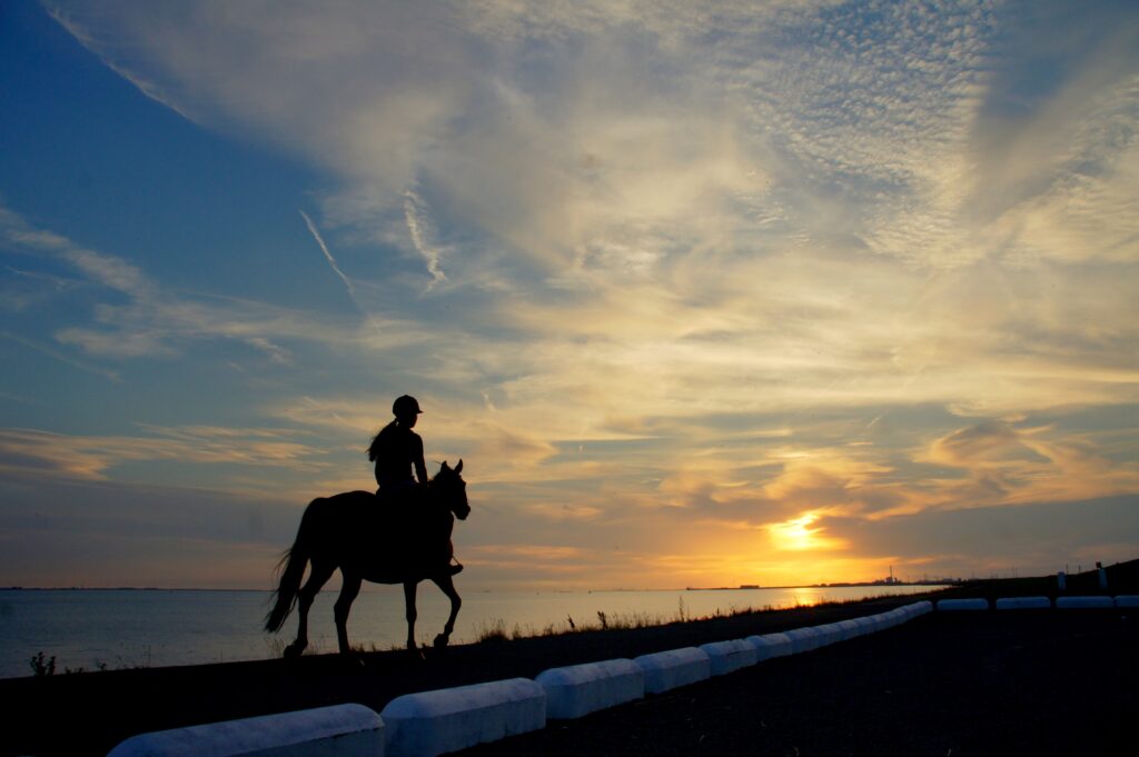 Silhouetted girl horseback riding by lakeside at vibrant orange and deep blue sunset sky Wallpaper