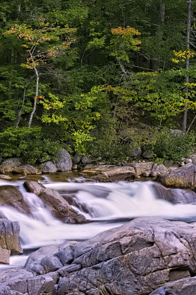 Serene river with silky water flowing over rocks in dense green forest with autumn colors wallpaper