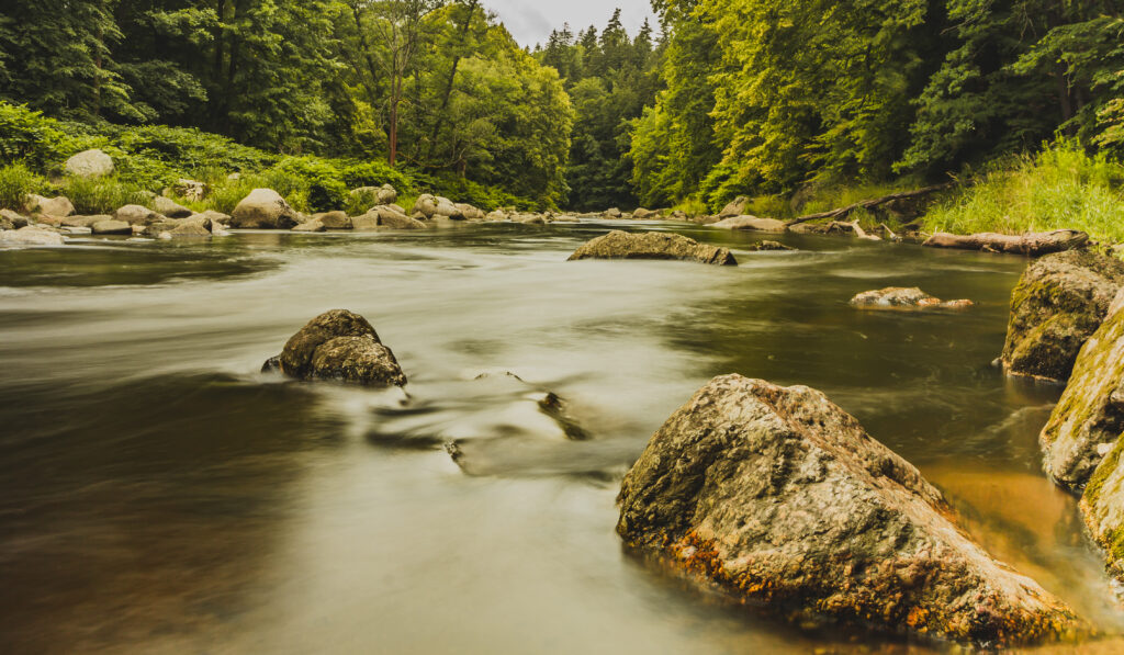 Silky smooth river water flowing past large stones surrounded by lush green forest landscape Wallpaper