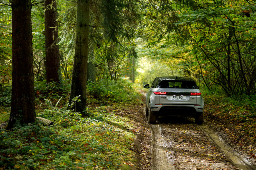 Elegant Silver Range Rover Evoque in Lush Forest Wallpaper