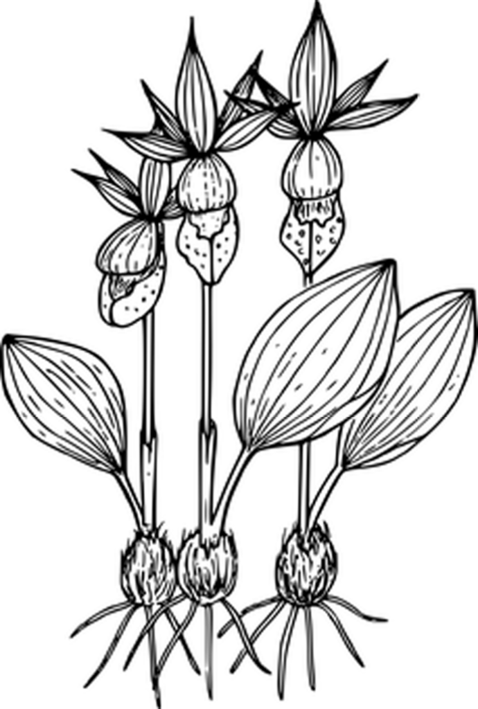 Simple Black Placeholder Background for Digital Designs Wallpaper