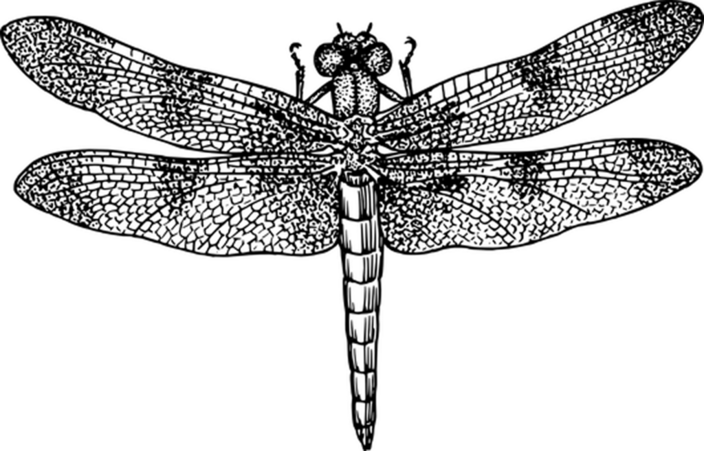 Simple Black Placeholder PNG for Backgrounds & Designs Wallpaper