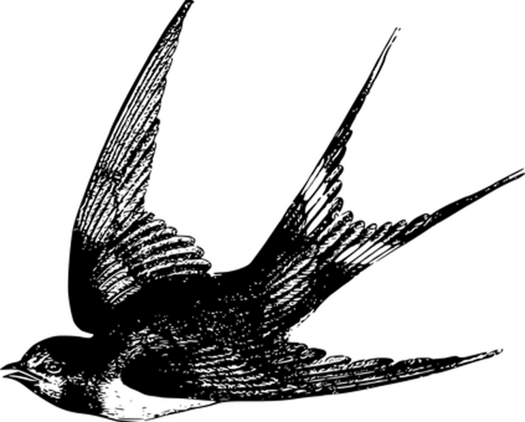 Simple Black Screen PNG: Placeholder Background for Design Use Wallpaper