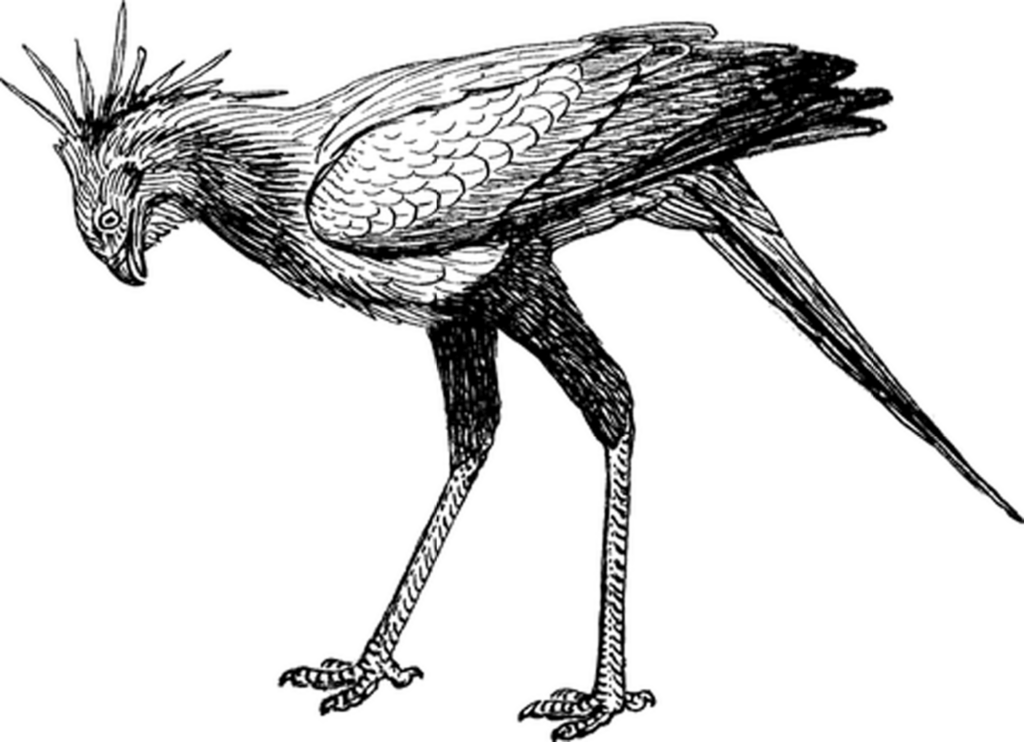 Versatile Black Screen Placeholder Image for Design Projects Wallpaper