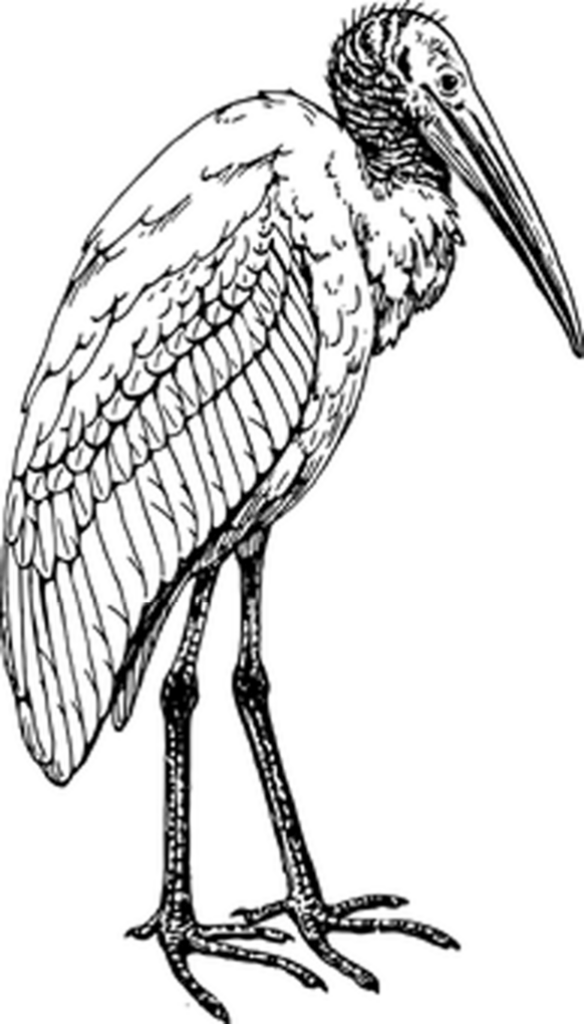 Simple Black Screen Placeholder for Digital Media Background Wallpaper