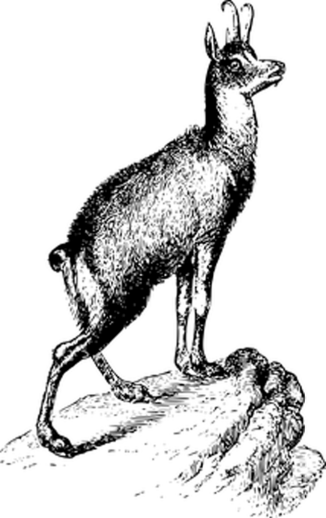Simple Black Screen Background - Ideal Placeholder Image Wallpaper