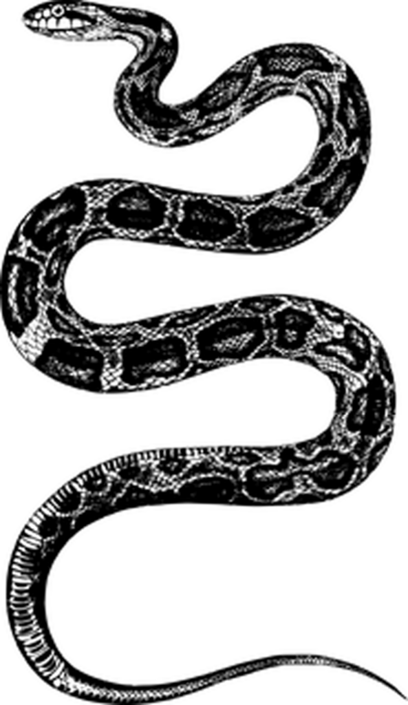 Simple Black Screen Placeholder for Missing Image Background Wallpaper