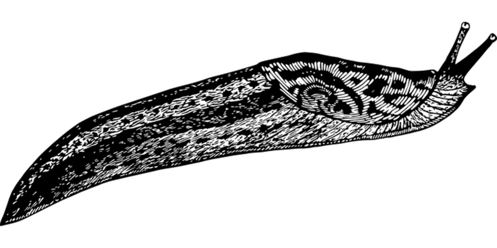 Simple Black Screen Background for Digital Projects & Design Wallpaper