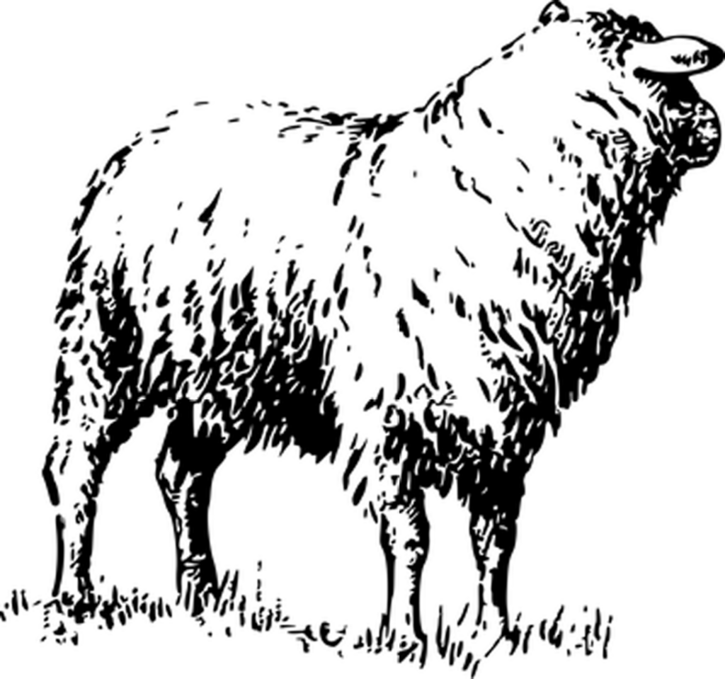 Simple Black Screen Template - Ideal Background for Design Purposes Wallpaper