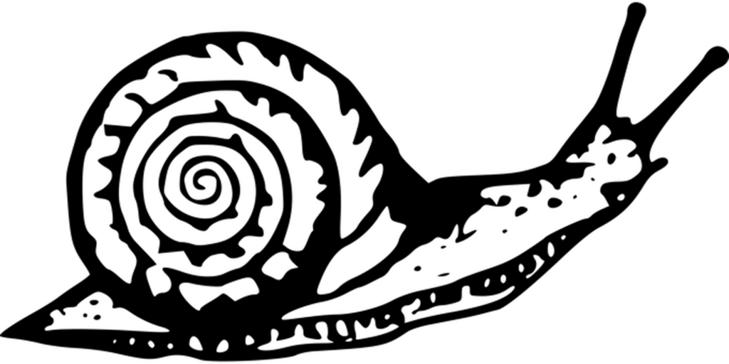 Simple Black Background for Digital Media Placeholders Wallpaper
