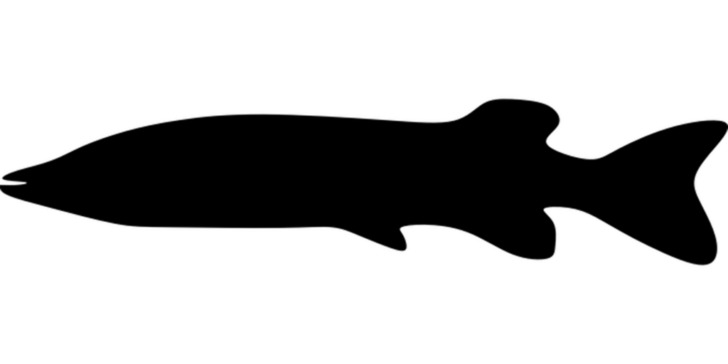 Simple Black Screen Placeholder Background for Design Projects Wallpaper