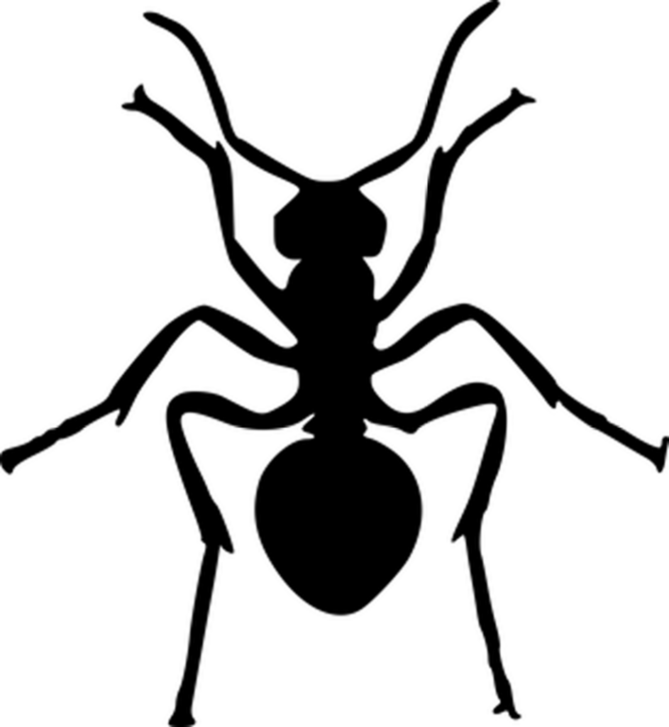 Simple Black Screen Background for Design Projects & Presentations Wallpaper