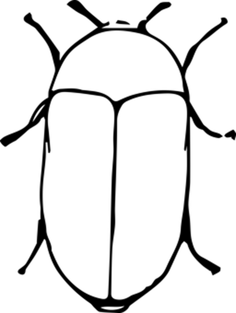 Simple Black Screen Background for Design Templates & Wallpaper