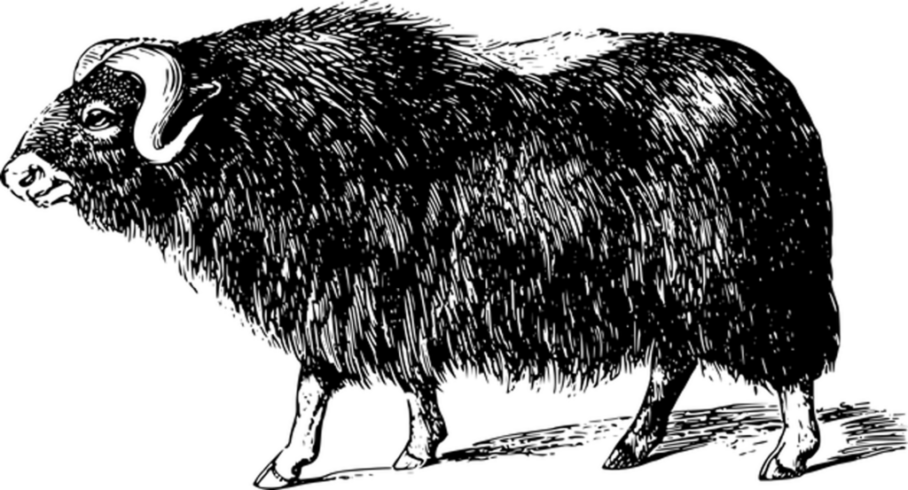 Simple Black Screen Background for Digital Media Placeholders Wallpaper