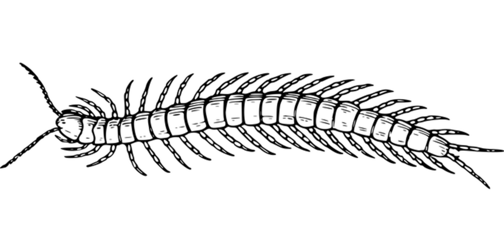 Minimalist Black Screen Background for Digital Projects and Presentations Wallpaper