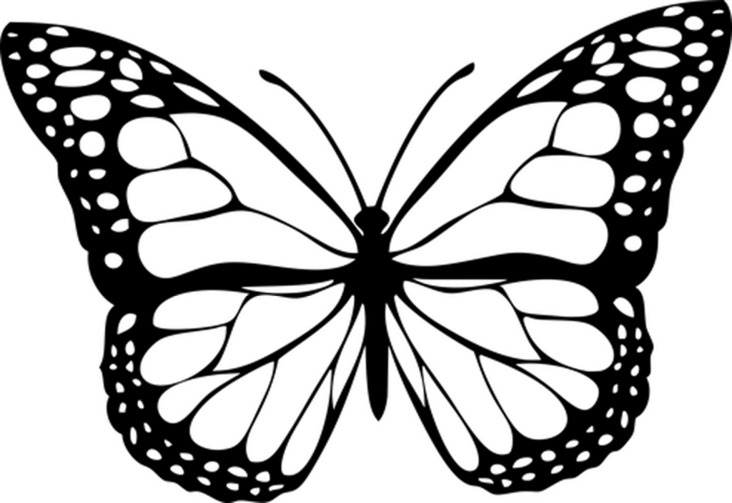 Simple Black Screen Background for Digital and Design Use Wallpaper