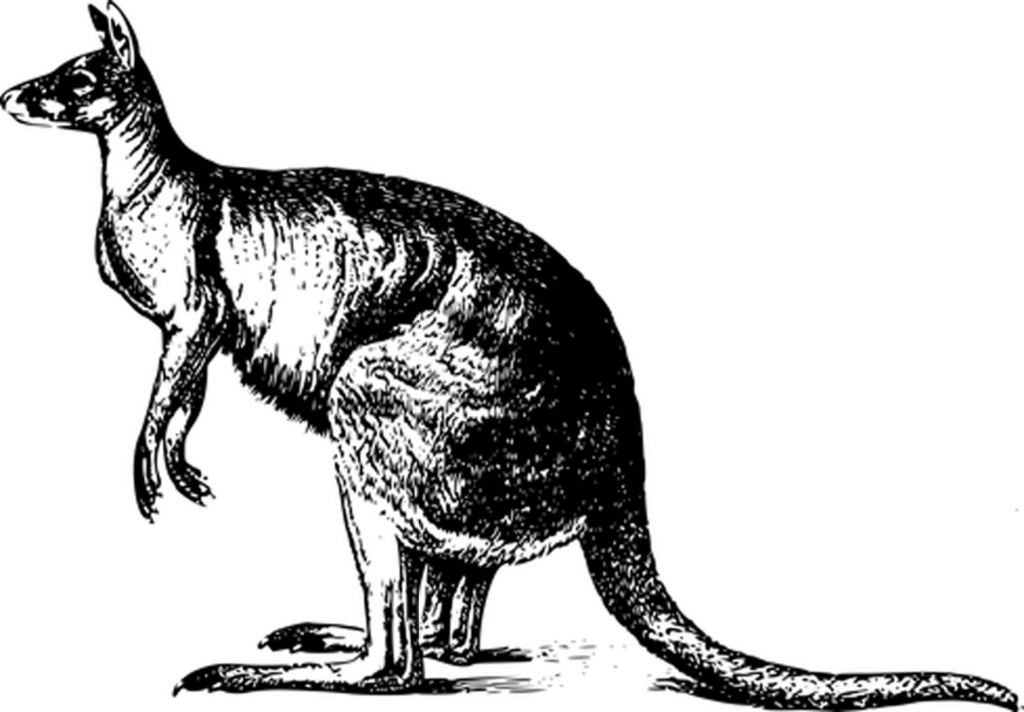 Minimalist Black Background Wallpaper – Versatile Template Image