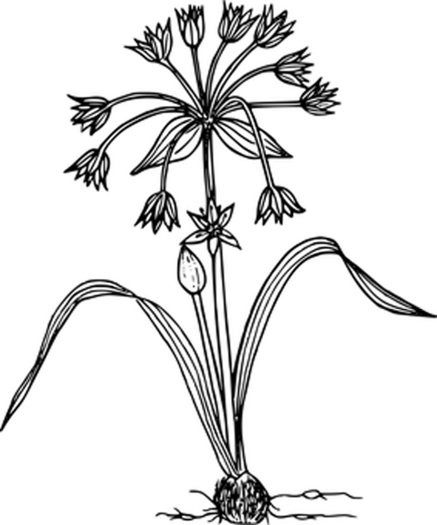 Minimalist Black Wallpaper - Simple Neutral Background Image