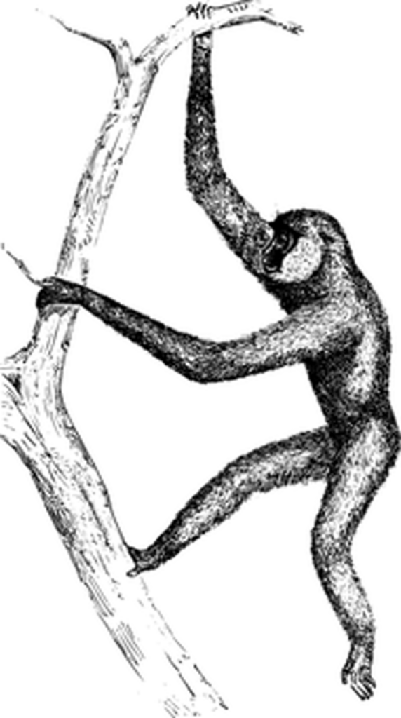 Simple Black Screen Wallpaper: Ideal Neutral Background for Design