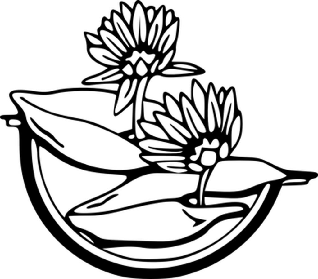Plain Black Wallpaper - Ideal Blank Canvas or Background Placeholder